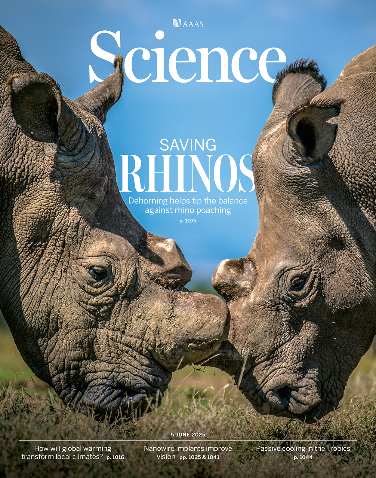 Africa's epidemic of low-quality medicines